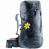 Рюкзак Deuter Futura 28 SL 3400618-7000 black (2020-21)