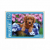 Пазл Рыжий Кот Милый щенок У160-7248