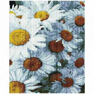 Алмазная мозаика Picasso "Прелестные ромашки" PD3040012