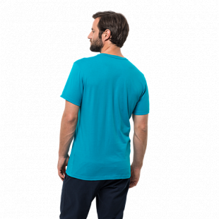Футболка мужская Jack Wolfskin Palm Cove T M blue reef