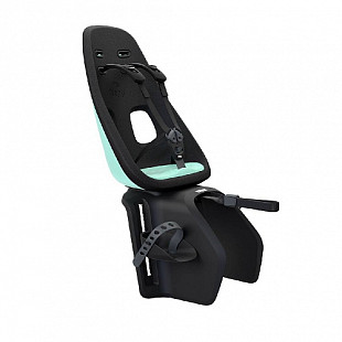 Детское велосипедное кресло Thule Yepp Nexxt Maxi mint (12080215)
