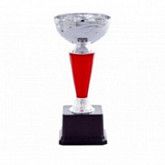 Кубок 108301C 17,5 см