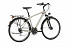 Велосипед Kellys Carson 60 28" (2019) grey