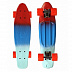 Penny board (пенни борд) Triumf Active South Wind 22" TLS-401M