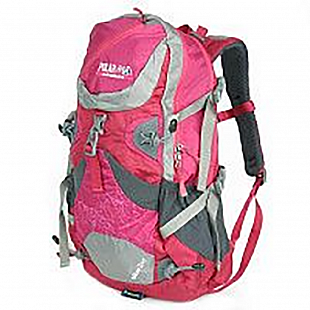 Рюкзак Polar П1538 pink