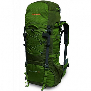 Рюкзак Pinguin Explorer 100 Green
