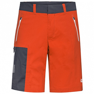 Брюки мужские Jack Wolfskin Overland Shorts M wild brier