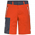 Брюки мужские Jack Wolfskin Overland Shorts M wild brier