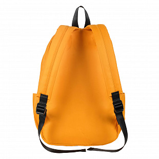 Городской рюкзак Polar 18262 black