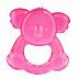 Прорезыватель Canpol babies Охлаждающий Коала 56/148 Pink