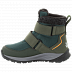Ботинки детские Jack Wolfskin Polar Bear Texapore Mid Vc K dark green / grey