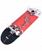 Скейтборд Ridex Redsea 31.6” Скейтборд Ridex Redsea 31.6”