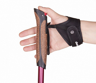 Палки для скандинавской ходьбы Tramp Fitness TRR-011