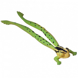 Игрушка детская Bondibon Летающая лягушка ВВ4286