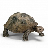 Фигурка динозавра Schleich Гигантская черепаха 14601
