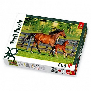 Пазл Trefl Первые шаги жеребенка 37095