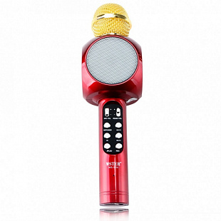 Колонка с функцией Караоке Микрофона Wster WS-1816 red