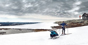 Детская мультиспортивная коляска Thule Chariot Sport1 lime (10201002)