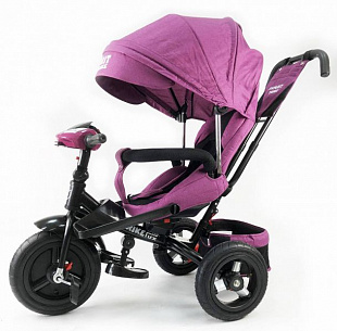 Велосипед трицикл Favorit Trike Lux FTL-1210-1 Purple