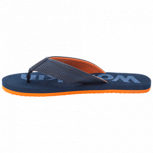 Сандалии мужские Jack Wolfskin Eezy M dark blue / orange
