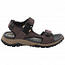 Сандалии мужские Jack Wolfskin Rocky Path Lt Sandal M dark brown / black