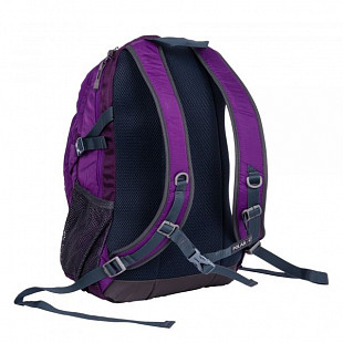 Рюкзак Polar П1626 pink