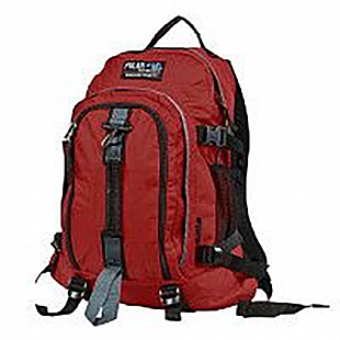 Рюкзак Polar П3955 burgundy