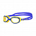 Очки для плавания подростковые 25Degrees 25D03-FG12-20-31-1 Friggo Navy/Yellow