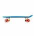 Penny board (пенни борд) Maxcity Plastic Board Gloss Small Blue