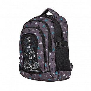 Школьный рюкзак Polar 80099 grey