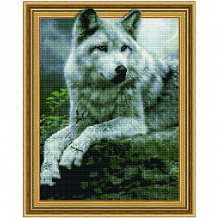 Картина из страз 5D Picasso Ночной охотник 5PD4050027