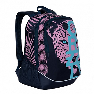 Рюкзак GRIZZLY RD-953-5 blue