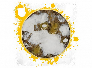 Краска для миниатюр Games Workshop Texture: Valhallan Blizzard 24 мл 26-14