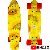 Penny board (пенни борд) Atemi APB-17.12