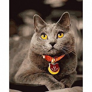 Картина по номерам Picasso Взгляд желтых глаз PC4050411