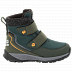 Ботинки детские Jack Wolfskin Polar Bear Texapore Mid Vc K dark green / grey