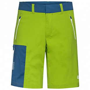 Брюки мужские Jack Wolfskin Overland Shorts M spring lime
