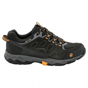 Полуботинки мужские Jack Wolfskin MTN Attack 5 Texapore Low M blue