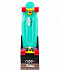 Penny board (пенни борд) Ridex California 27'' Penny board (пенни борд) Ridex California 27''