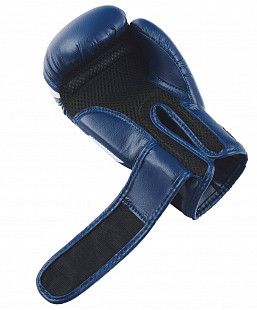 Перчатки боксерские Insane MARS IN22-BG100 8 oz	 blue