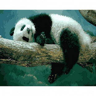 Картина по номерам Picasso Сладкие сны панды PC4050410