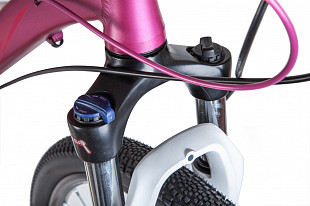 Велосипед Stinger Liberty Evo Pro 28" (2020) pink