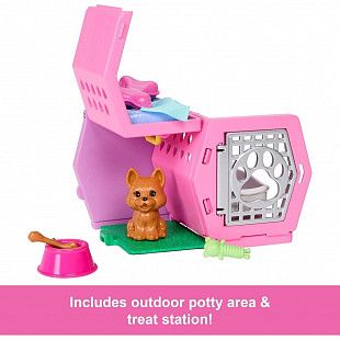 Кукла Barbie Family & Friends Club Chelsea Puppy Carrier (JDF89)