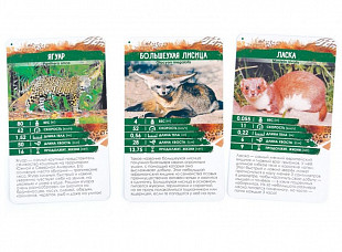 Настольная игра Стиль Жизни Секреты планеты. Хищники 321146