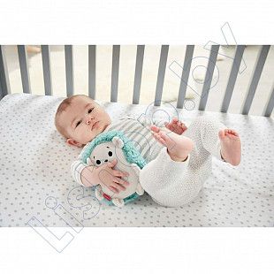 Игрушка Fisher Price Ежик (FXC58)