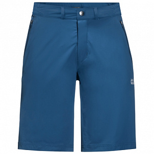 Шорты мужские Jack Wolfskin Delta Shorts M indigo blue