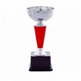 Кубок 108301C 20 см