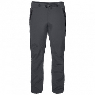 Брюки Jack Wolfskin Vector Pants Men 1503761 grey