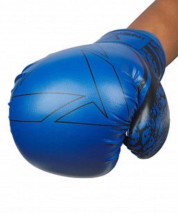 Перчатки боксерские Insane ODIN IN22-BG200 12 oz blue