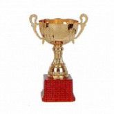 Кубок А25 20 см